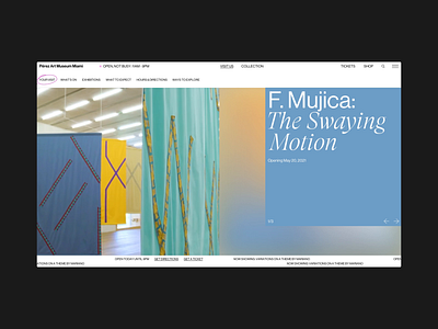 PAMM - Website, Design Concept animation concept design graphic design layout motion graphics museum ui web design
