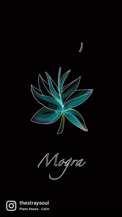 Mogra animation bloom flower hand drawn illustration motion design motion graphics