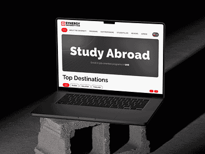 Study Abroad (Synergy University Hub) branding graphic design studyabroad synergy university ui ux webcite