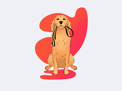 dog app illustration