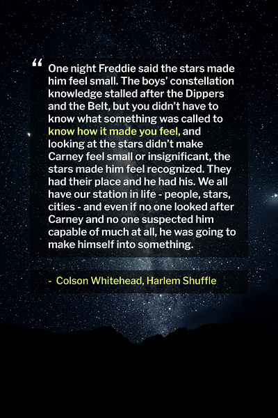 Harlem Shuffle Quotable book colson whitehead harlem shuffle inspiration literature motivation quote