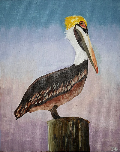 Pelican acrylic animals painting pelican