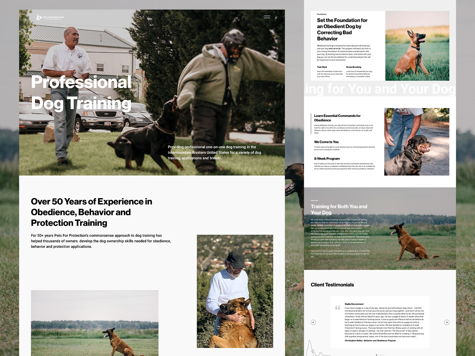 Pets For Protection - Dog Training Website figma web design webflow