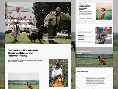 Pets For Protection - Dog Training Website figma web design webflow