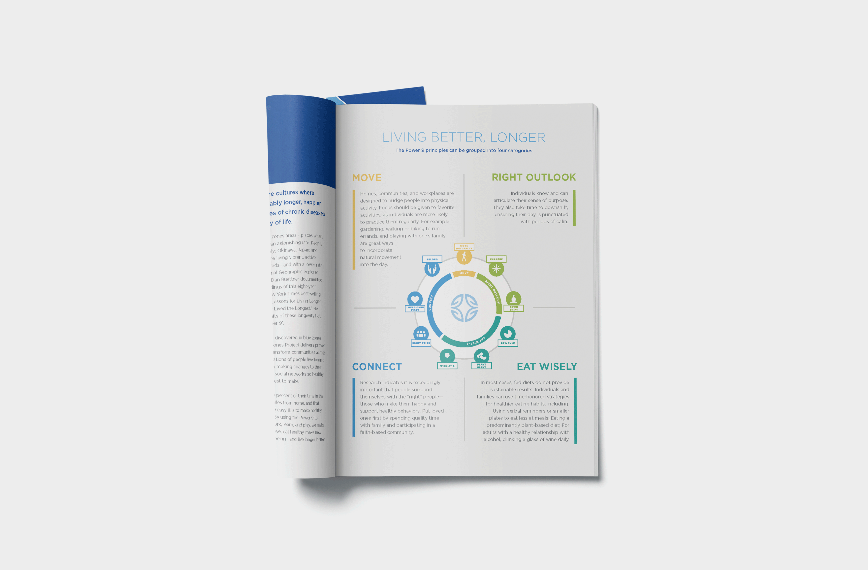 Blue Zones Report Design branding