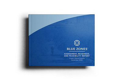 Blue Zones Report Design branding