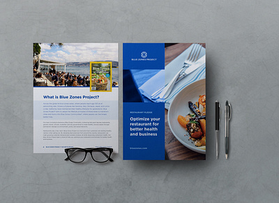 Blue Zones Report Design branding