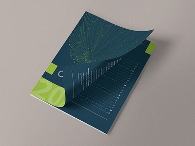 Orcid Annual Report adobe illustrator adobe indesign annual report brand assets branding editorial design graphic design infographic report design