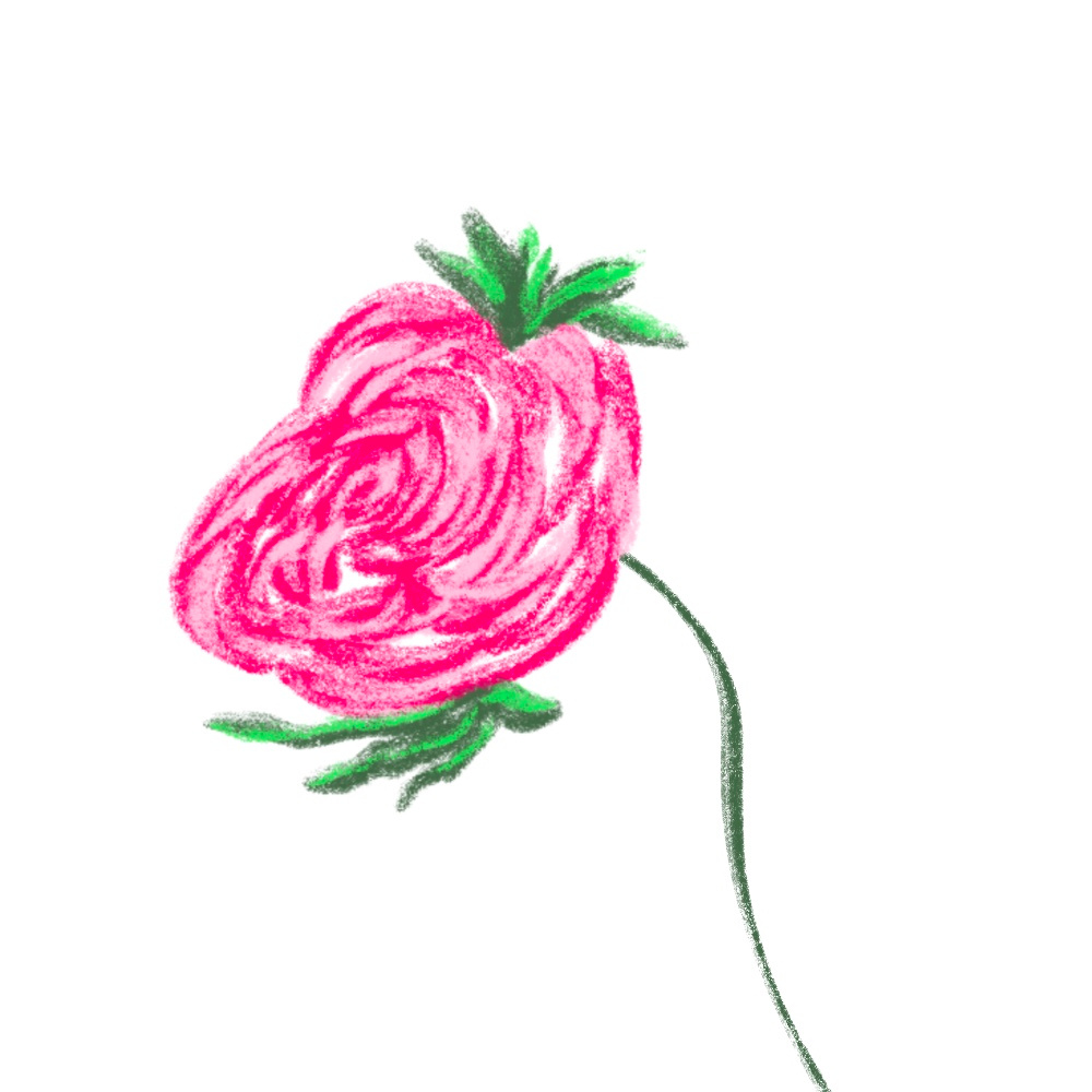 A Rose For You aftereffects animation brushwork color floral flower illustration motion motion graphics procreate textrue