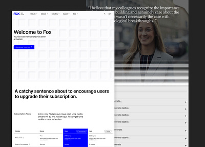 Fox Design - Web and Brand Redisgn 3d button corporate electric blue finance light texture ui web web design website