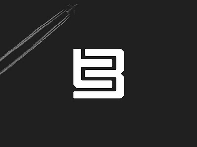 Tiny Blogger - Brand Identity & Logo Design