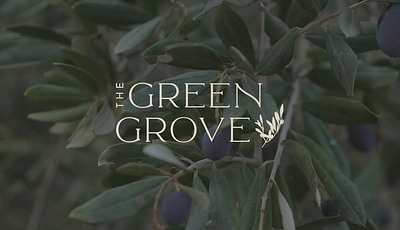 The Green Grove Organic Linen Clothing Label Branding Project branding design graphic design illustration logo typography