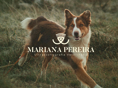 Mariana Pereira Brand Design brand design branding logo veterinary visual identity