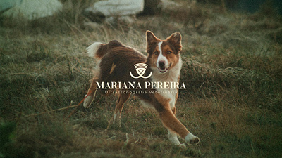 Mariana Pereira Brand Design brand design branding logo veterinary visual identity
