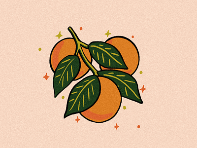 Orange Illustration design graphic design illustration
