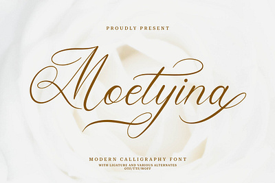 Moetyina | Modern Calligraphy Font elegant fonts font collection