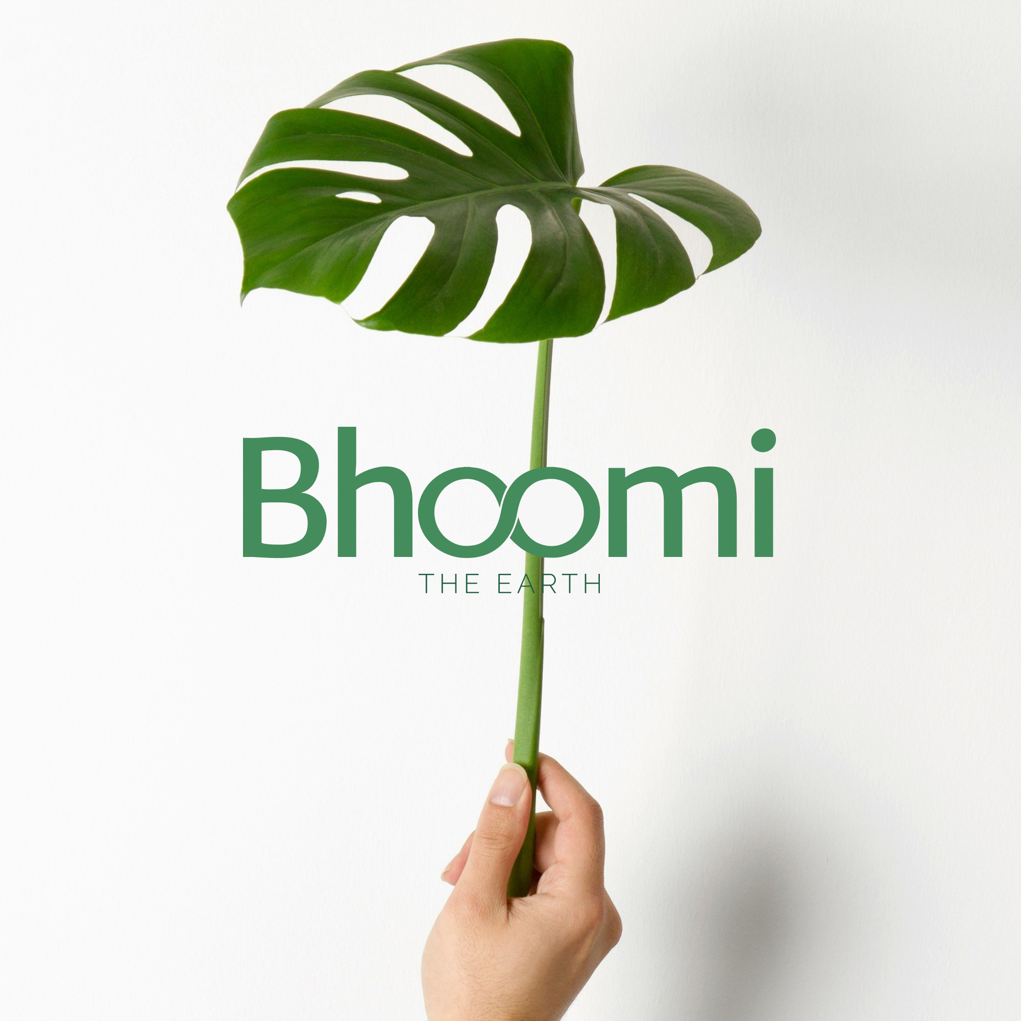 Wordmark for Green living branding figma graphic design identity design logo vector