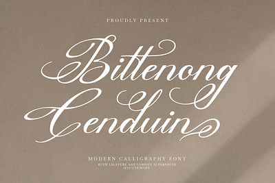 Bittenong Cenduin | Modern Calligraphy Font feminine signature fonts