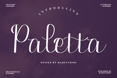Paletta Script Fonts abc alphabet calligraphy design drawn font graphic letter lettering modern script sign style symbol text type typeface typography vector vintage