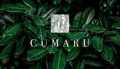 Cumaru Branding bar brand identity branding logo