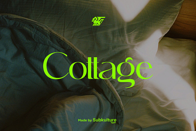 Cottage - Modern Sans Serif abstract brand branding bungalow cottage design display download font free logo logotype modern sans serif type typeface typography