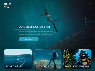 Diving club website design site ui ux website