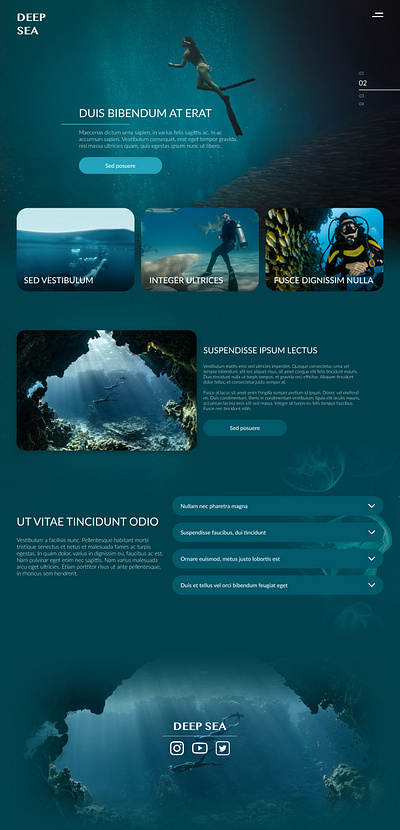 Diving club website design site ui ux website