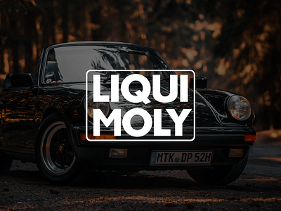 SMM for LIQUI MOLY diesel oil smm social media targeting
