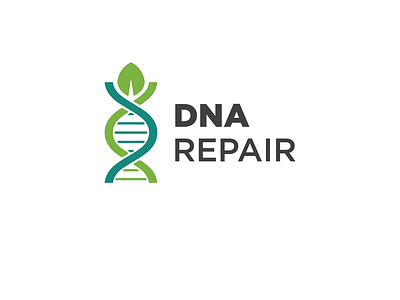Dna Repair Logo branding design dna dna repair logo graphic design logo logos logotype modern repair simple logo vector