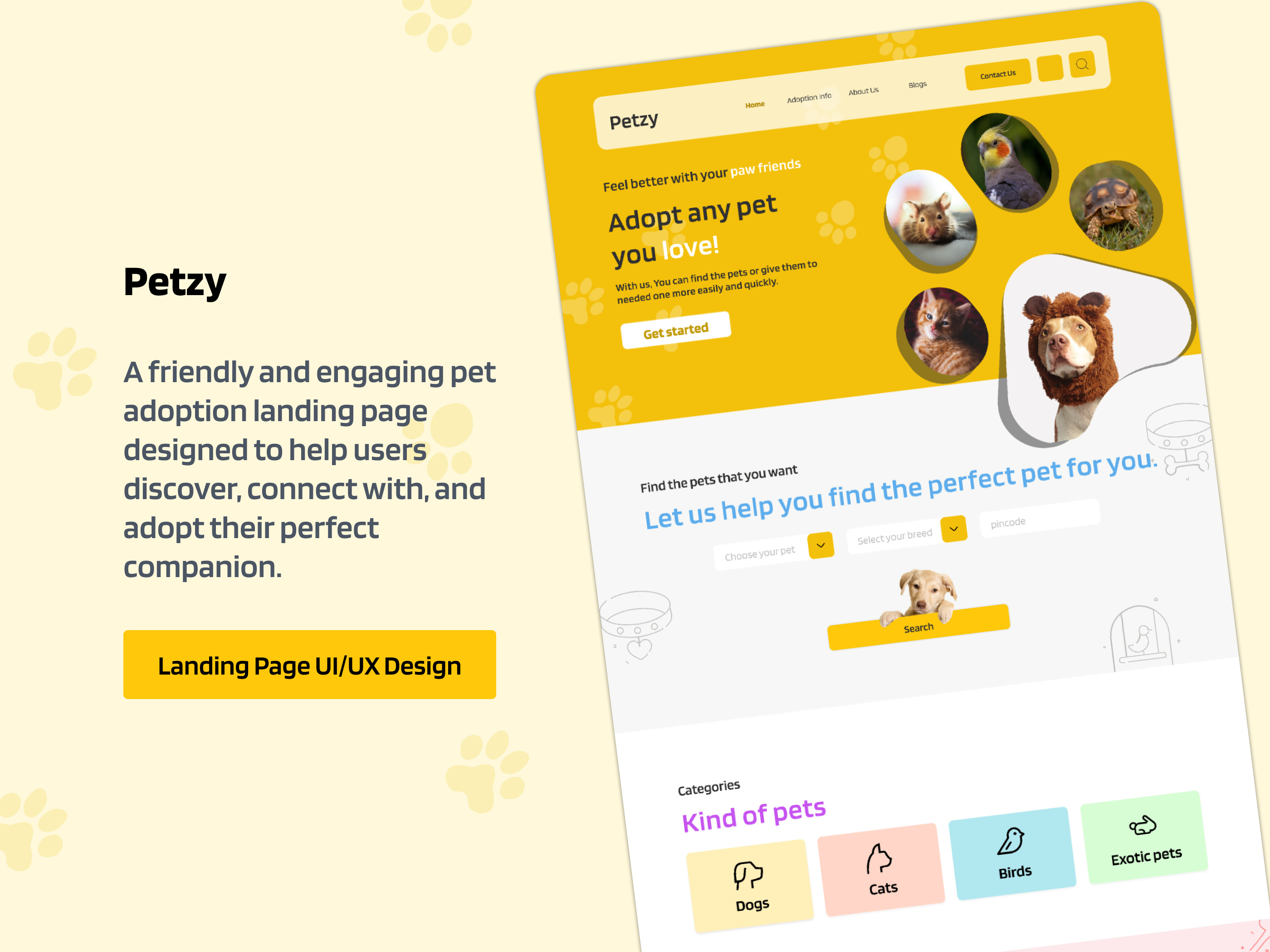 Pet Adoption Website Design: Modern & Effective Website Design designinspiration ecommerce pet store innovativedesign moderndesign pet adopt pet adoption pet adoption web design pet adoption website pet care website uiux design pet ecommerce pet service pet shop pet sitter pet store petcare petcommunity petlovers uiuxdesign userexperience webdesign