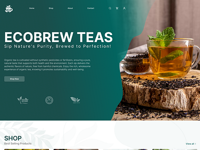 E-Commerce Website : Organic Tea | Ecobrew branding case study design ecommerce figma graphic design greem illustration logo organic shop shopping tea tes ui user experience user interface website