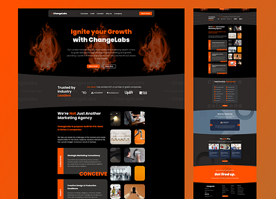 Web Design & Development - Marketing Agency branding design graphic design vector web design web development