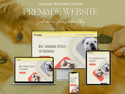 Dog Grooming Business WordPress Website Design Template dog walker website template pet sitter web template website design website template website theme