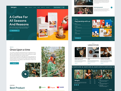 Teryco - Roasted coffee - Website☕️ bean branding coffee design drink project roasted ui userinterface ux website