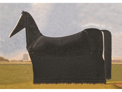 Trotter after van der Hoop collage equestrian equine horse horse illustration legs