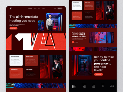 Data Hosting Website red ui web design