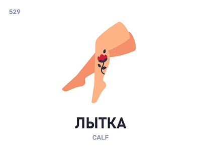 Лы́тка / Calf belarus belarusian language daily flat icon illustration vector word