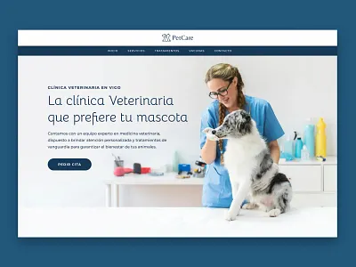 3Veterinary Website ui