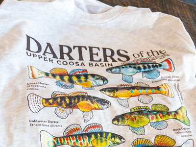 Darters of the Upper Coosa | Coosa River Basin Initiative conservation fish freshwater georgia ichthyology illustration river riverkeeper scientific illustration shirt southeast