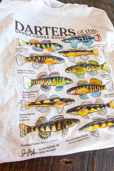 Darters of the Upper Coosa | Coosa River Basin Initiative conservation fish freshwater georgia ichthyology illustration river riverkeeper scientific illustration shirt southeast