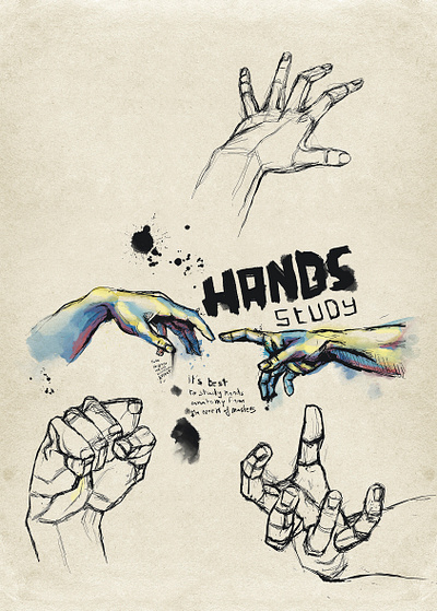 Hands Study anatomy digital drawing digital painting drawing hands hands anatomy illustration leonardo davinci the creation of adam