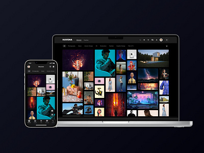 Havona Artist Platform app product design ui ux web