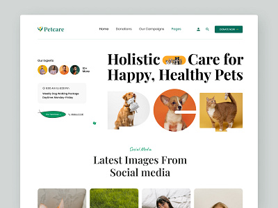 Petcare website UI design 2024 ui design graphic design landing page landing ui pet food pet landing page pet website petcare ui design petcare website trendy ui design ui ui design ui design trend ui ux user experience user interface design ux web design website design