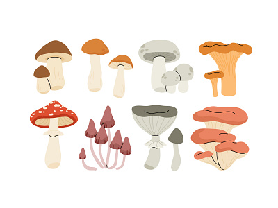 Mushroom set cartoon concept design flat icon illustration mushroom nature set vector