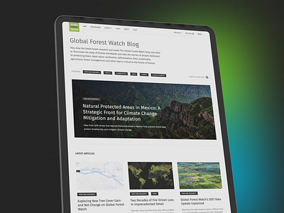 Engaging and Informative: Web Design for Global Forest Watch Blo agency branding design illustration ui uiux ux web design web development