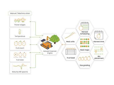 Harvest Forecast Engine: Concept infographic mango ondarchuk vector design