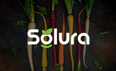 SOLURA | BRAND IDENTITY AND LOGO DESIGN modern logo design organic