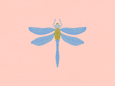 Dragonfly animal design graphic design illustration insect summer