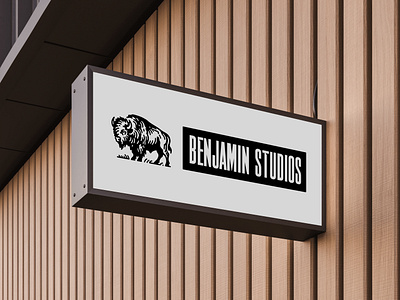 Branding exploration for Benjamin Studios brand branding design graphic design illustration logo typography