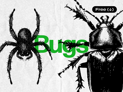 Bugs Dithering Bitmap Vector Shapes 8bit bitmap bugs clipart design dither dithering download elements free freebie graphics illustration pixelated pixelbuddha retro spiders vector vintage y2k